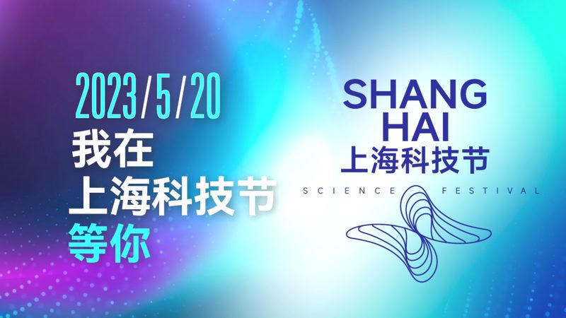 品牌策划：科技公司在数字化浪潮中的战略布局**